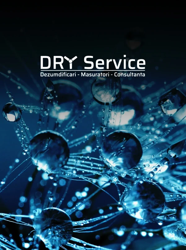 DRY SErvice