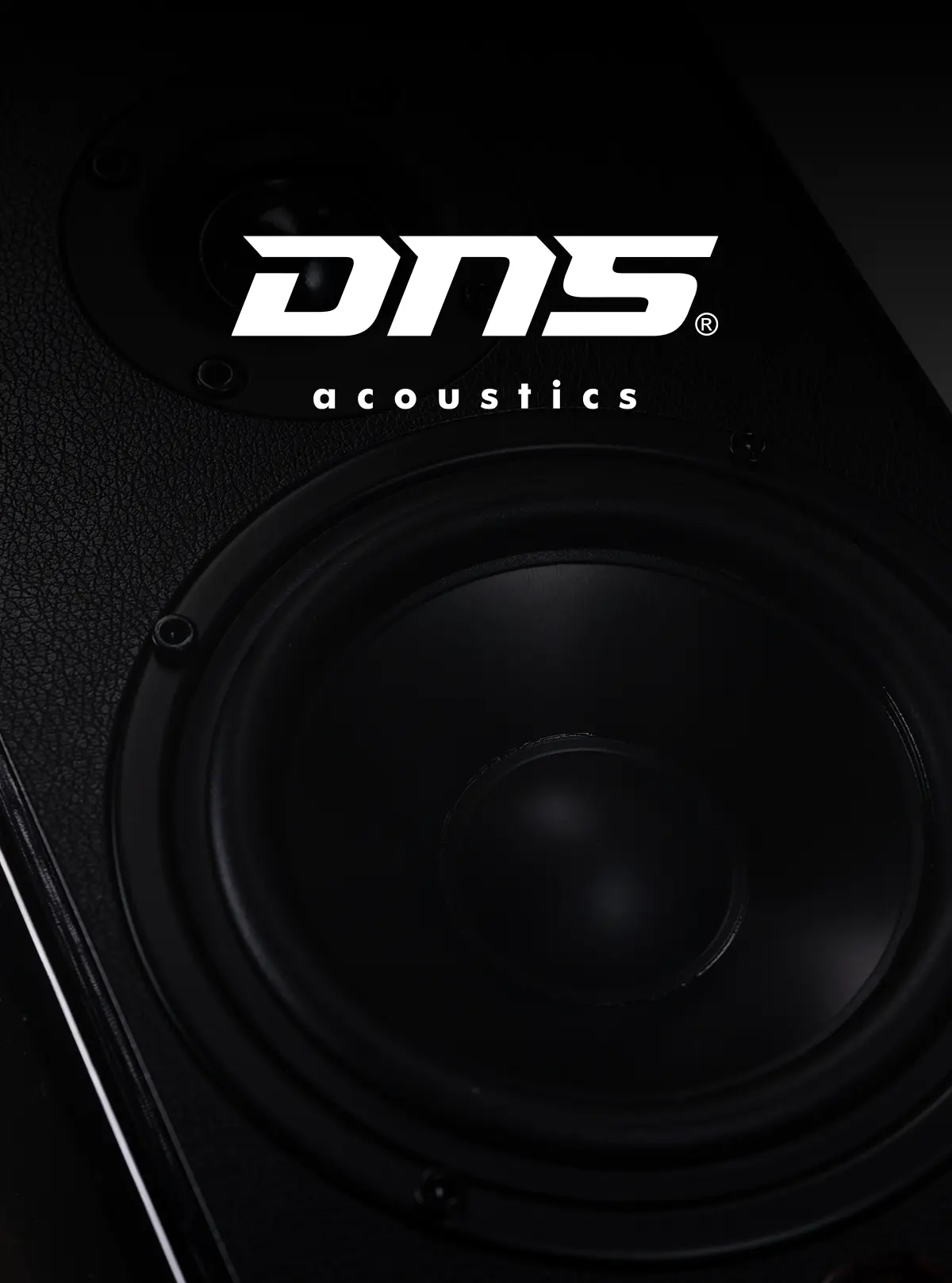 DNS acoustics